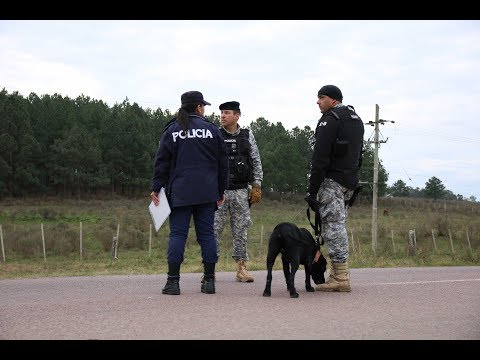 Cerro Largo: fuerte combate a lo ilegal