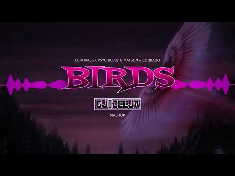 LoudBass x PsychicBoy & Matson & Conrado - Birds (DJ DeeJa Mashup)