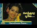 Senthoora Poove Video Song 16 Vayathinile Tamil Movie Songs Kamal Haasan Sridevi