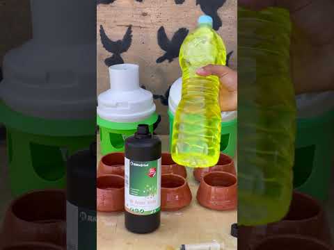 Bt-Amin forte for Pigeons