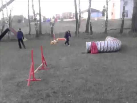 18 3 2015 Trénink agility