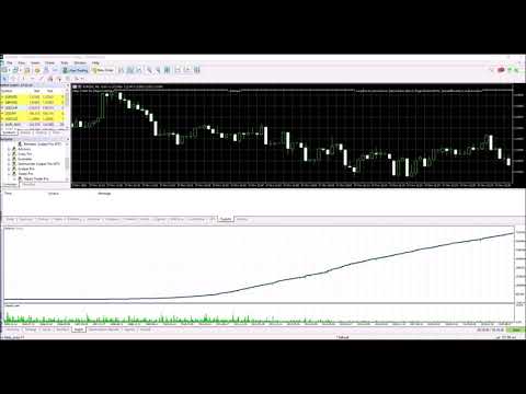 Video Hippo Trader Pro MT5