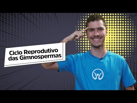 Ciclo Reprodutivo das Gimnospermas - Brasil Escola