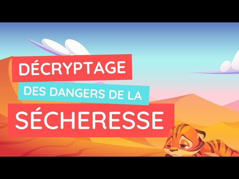 Les conséquences de la sécheresse : sensibilisation et solutions !