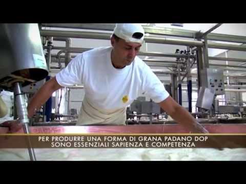 Il Grana Padano DOP: il video in lingua...
