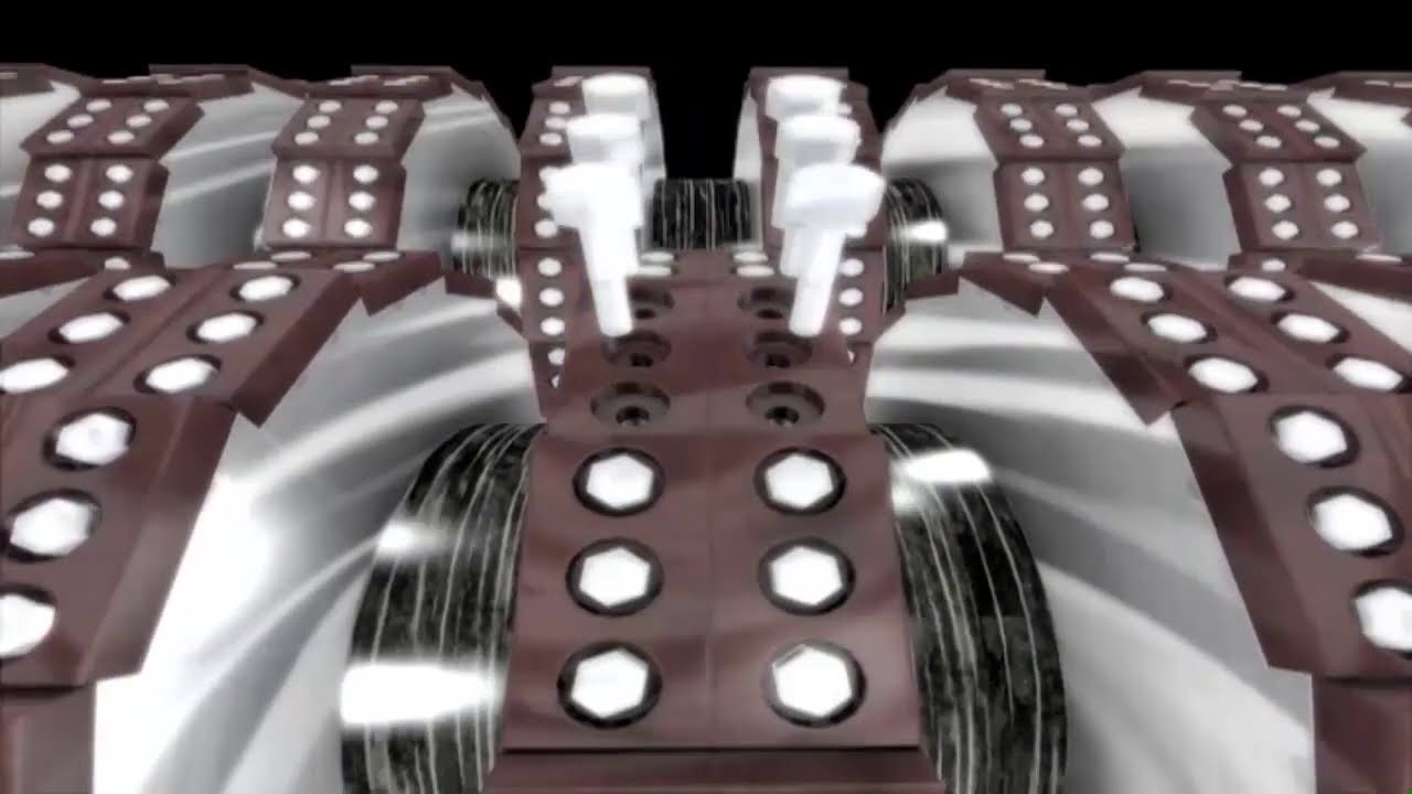 10 things you can learn about fashion from walruses