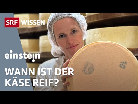 Käsereifung beim Gruyère: So spannend kann Käse sein | Einstein | SRF Wissen