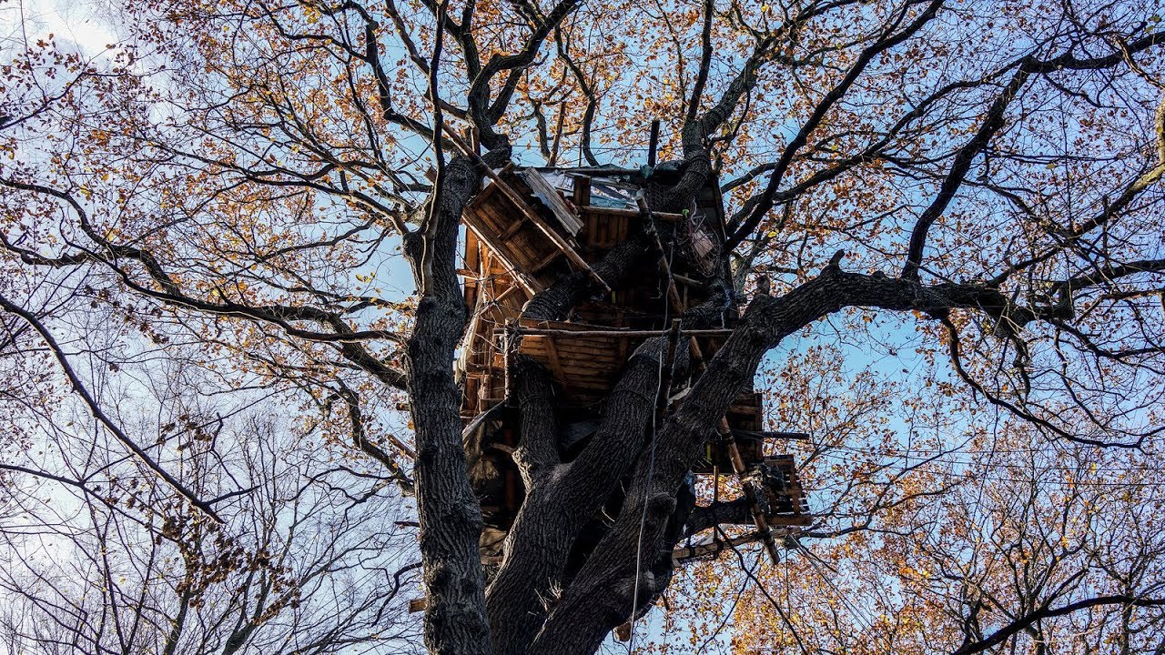 Protesting Coal Mining From a Treehouse