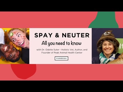 SPAY/NEUTER PETS: Should I desex my dog or cat? At what age should I do it?