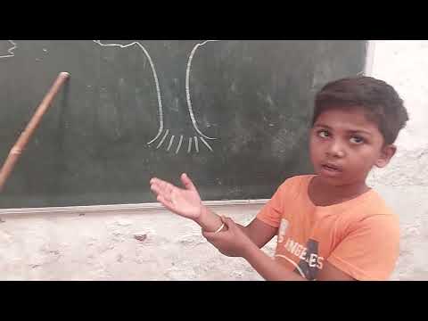 Innovative teaching of English alphabet in SHRI AMARESHWAR PUBLIC SCHOOL SAMBHRAM SANGAMESH NAVALI