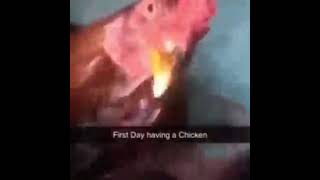 Cover art for Chicken Beatbox