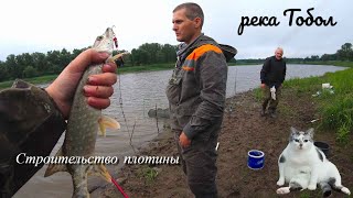 Ссылка