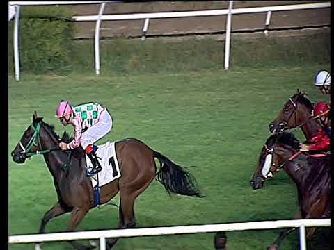 Galoppo 28/08/2019 - 5ª corsa