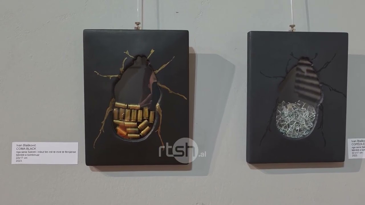 Kolonia e artit në Vlorë, Shqipëri-Kroaci, dy kultura, një gjuhë e përbashkët- Arti