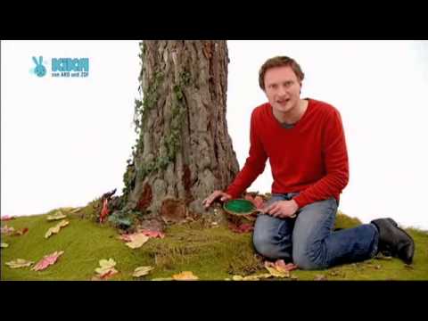 Stefan Kaminski - Der Spiegel