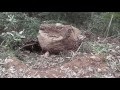 Camping Eildon Jamison Apr 2012