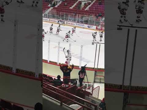 Joraava narri - Jokerit 😄