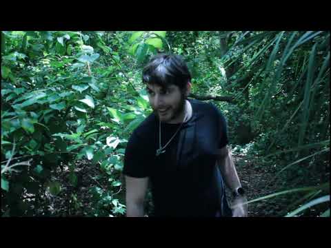 HTTYD: Isle of Scauldron | Test Footage