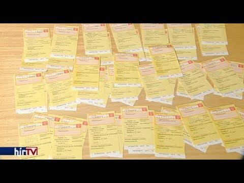 PANASZKÖNYV - Behajtó cég fogságában