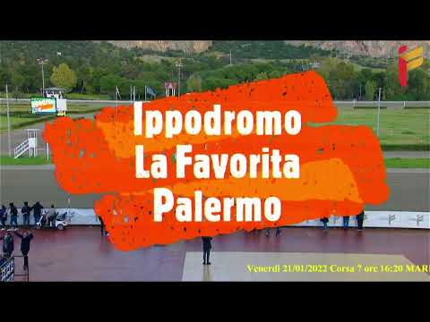 VII Corsa del 21 Gennaio 2022 - 5 Anni ed oltre - Metri 1600