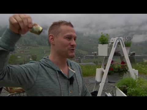 Die Promi Griller 2016 Kerstin Cook vs  Pat Farrell