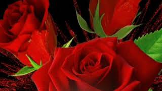 pero no me dejes sin tí -los yonics