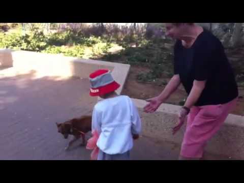 David walks dog on leash- Netanya promenade -so cute!