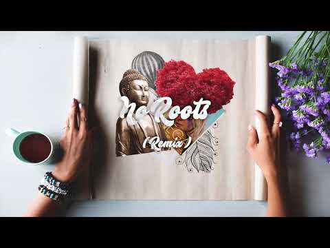 No Roots - Joe Kinni & Mauricio Micelli (Remix)