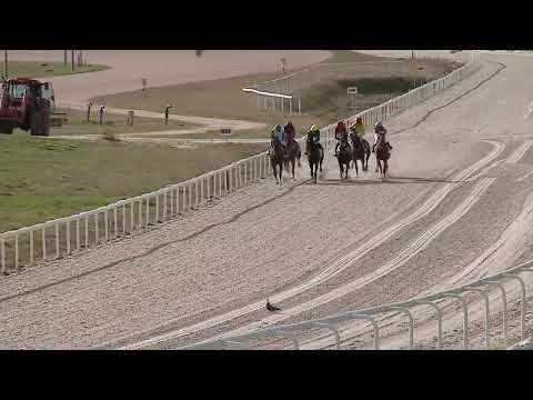 2023.03.26. 06. futam - NYERETLENEK VERSENYE (V.kat.) (szintetikus pálya)