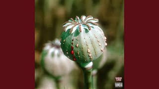 OPIUM