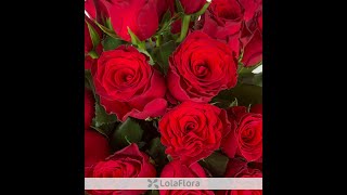 Formula V catorce rosas rojas