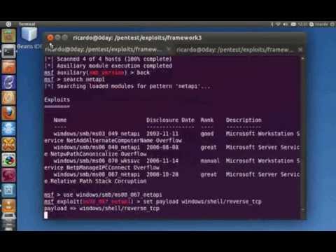 Metasploit y netapi.