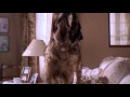 Beethoven - Muddy Shake 