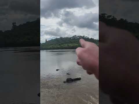 Domingão de mudança/ Itumbiara - GO  - Cidade top!