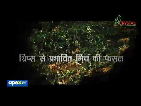 Showreel