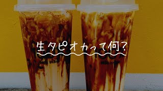 生タピオカとは？
