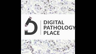 4. PathPresenter a tool to make killer pathology presentations and much more w/ Rajendra Singh, MD