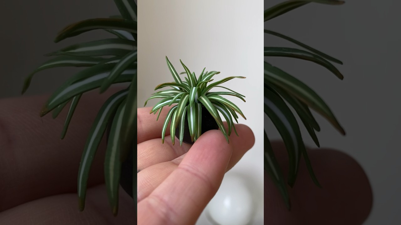 Spider Plant - process from cane to miniature plant #polymerclay #plants