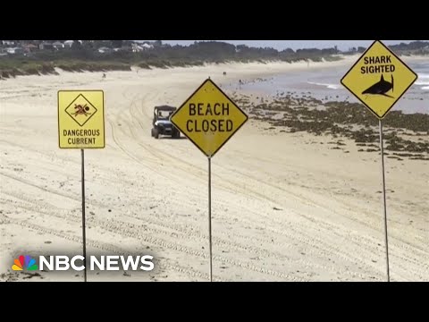 Dozens of Australian beaches close after four shark attacks in less than 48 hours