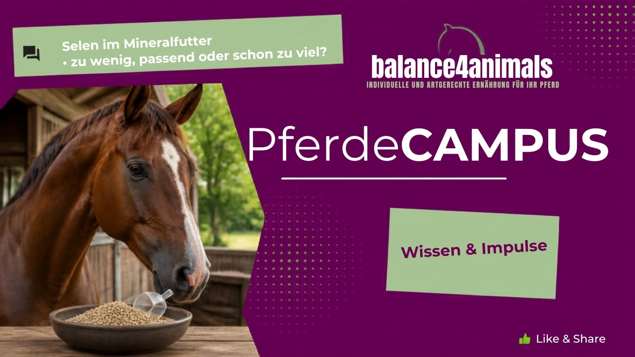 Vorschaubild – Selen im Mineralfutter – Pferde CAMPUS von balance4animals