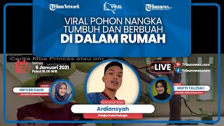 VIRAL STORY: Pohon Nangka Tumbuh dan Berbuah di Dalam Rumah