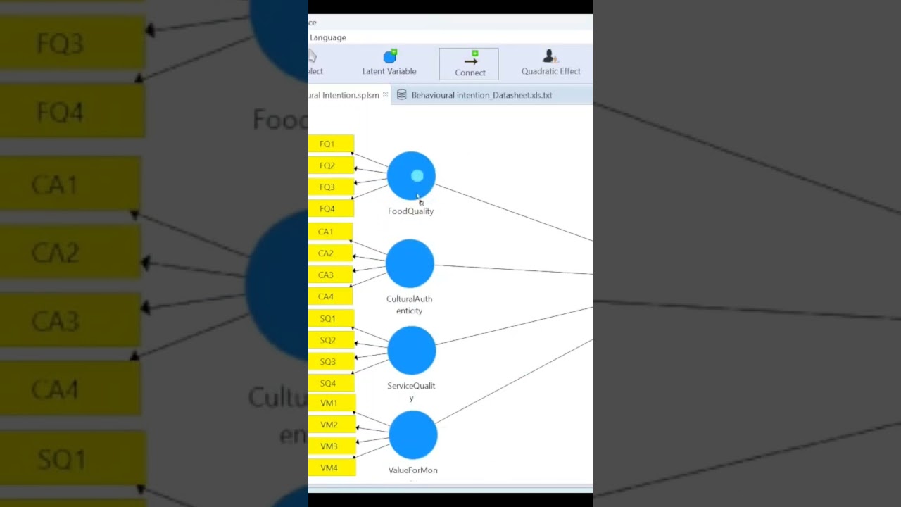 How to Use #smartpls