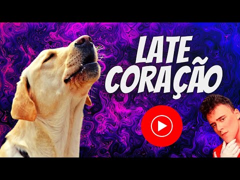 Auuu late coração, cachorro late coração (FUNK REMIX) (MATEUSAO REMIX)