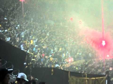 "oy oy oy es el glorioso Peñarol - PEÑAROL vs Catól" Barra: Barra Amsterdam • Club: Peñarol