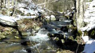preview picture of video 'Trout Stream at Owl Crest Farm near Boone, NC'
