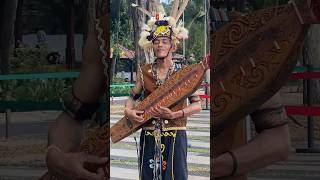 Download lagu Sape, alat musik khas Kalimantan #wibikembara #musikdaerah #alatmusiktradisional mp3 Download lagu Sape, alat musik khas Kalimantan #wibikembara #musikdaerah #alatmusiktradisional mp3