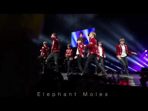 170401 BTS WINGS TOUR in Anaheim - Fire