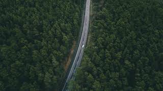 Nora En Pure - Trailblazer