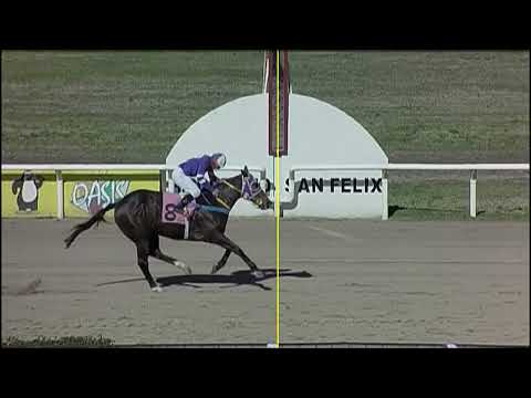 SINT PAYSANDU 230718 c08 - 1° EL POLLERO POBRE