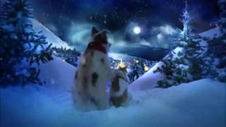 Musik-Video-Miniaturansicht zu Christmas Song Songtext von Chris Norman